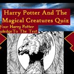 Top Magical Creatures In Harry Potter