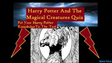 Top Magical Creatures In Harry Potter