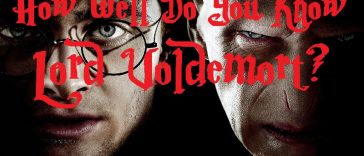 Lord Voldemort Harry Potter